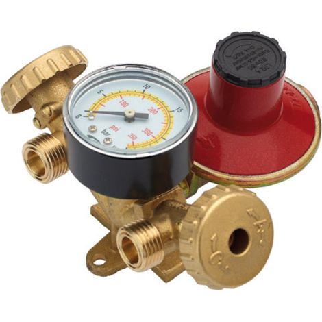 MINI CENTRALINA BOMBOLE GPL CON REGOLATORE 4KG   MANOMETRO SENZA FLESSIBILI