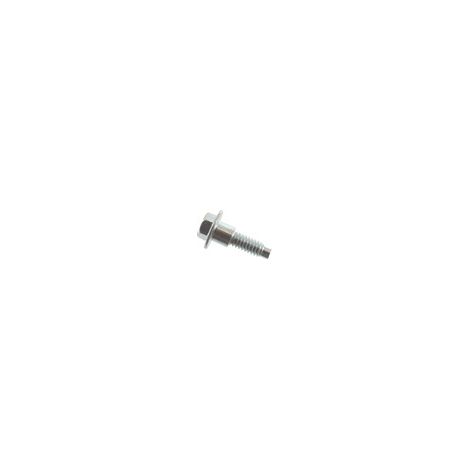 Vite BRIGGS ET STRATTON 799370