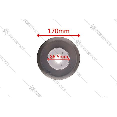 RGV disco lama 170mm con ruota ingranaggio affettatrice Smarty 170 110890 (1/2)