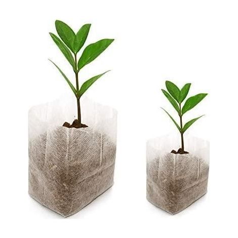 Lot of 200 biodegradable non-woven bags for sowing and cultivation (16x20 cm + 8x10 cm)