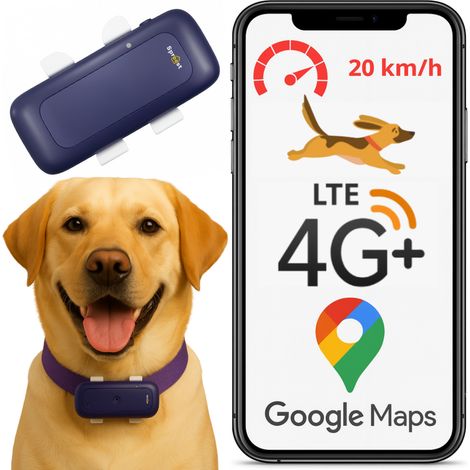 S26L 4G Lila GPS-Locator