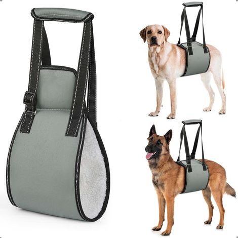 Harnais pour Chien avec poignée, Harnais de Levage pour Chien Ajustable pour la rééducation, Marche Souple de Soutien des Pattes arrière pour Les Chiens âgés, blessés ou handicapés,M (1/5)
