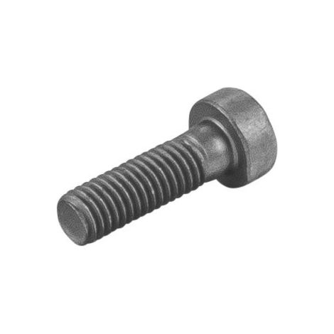 Vis cylindrique 081114