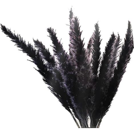 Lot de 30 tiges d'herbe de la pampa noire, séchées, naturelles et duveteuses, de 43 cm (17 pouces), pour la décoration de la maison, les compositions florales de mariage et la décoration. (1/5)