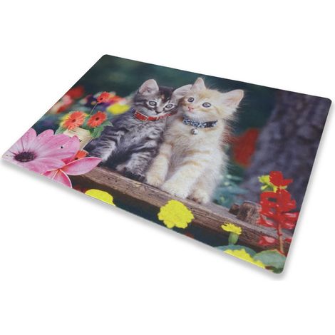 TAPPETO ZERBINO DIGITAL CM.40X60 I DUE GATTINI