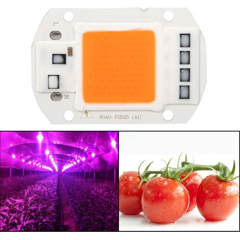 [Lampe de croissance] Lampe LED COB à spectre complet 50W, aluminium, 60x40mm, 120°, 380-840nm (1/5)