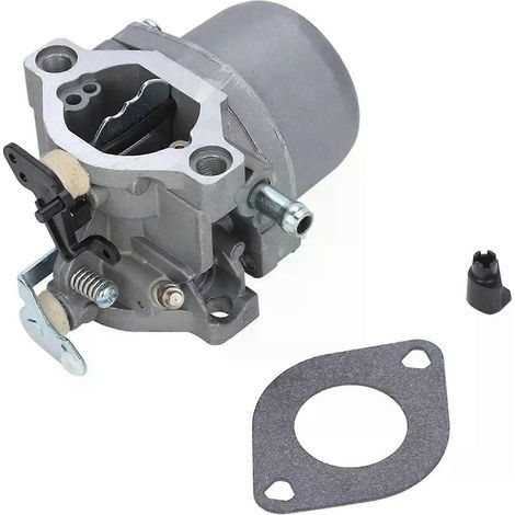 Carburateur pour moteur Briggs & Stratton 285707, 289707, 28B705 et 28M707 (1/5)