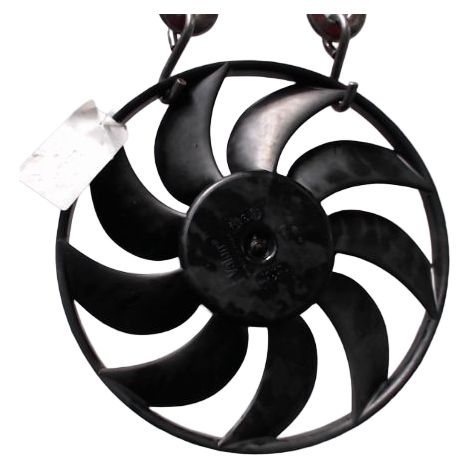 Moteur Ventilateur Radiateur RENAULT Master (1/3)