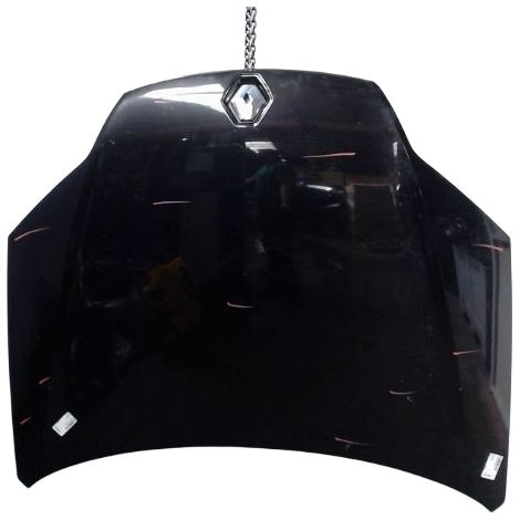 Capot RENAULT Laguna III 2009- [PRODUIT D'OCCASION]♻️651000021r (1/4)