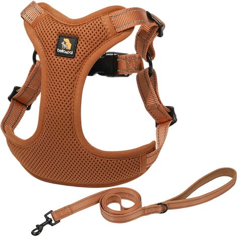 Harnais et Laisse pour Chien, Harnais Réglable à Enfiler pour Chiot, Gilet Anti-Traction pour Chien XS/Petit/Moyen, Mesh Aéré Respirant, Bandes Réfléchissantes, Boucle, Double Anneaux (1/5)