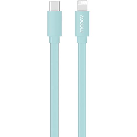 Câble MFI / USB-C plat pour iPhone iPad 1 m - bleu céladon (1/3)