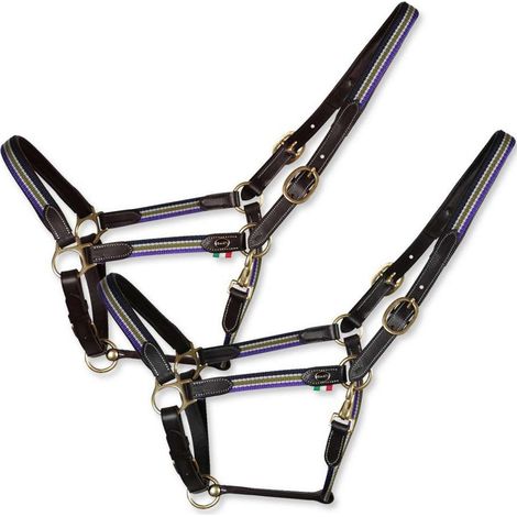 Cob, Marrone: Cavezza per cavalli in cuoio con inserti in nylon con tre regolazioni