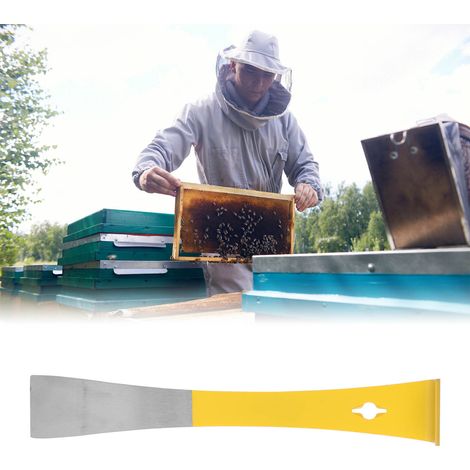 Gratteur Équipement Apiculture Modèle Grattoir Plancher Couteau Miel Stainless Steel 26cm 181g Gratteur Rustique (1/5)