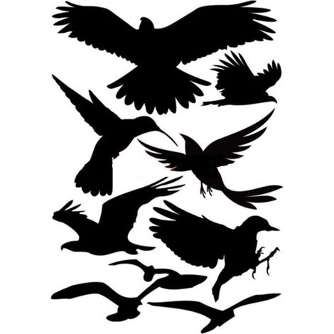 Autocollant Anti-oiseaux - Pour Voiture - Extérieur - 10 Pièces