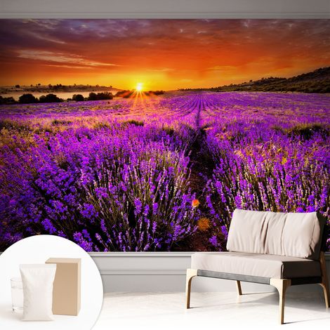 Papier peint intissé décoratif avec colle pour salon chambre et bureau Installation rapide Coucher de soleil lavande 312x219 cm (1/5)