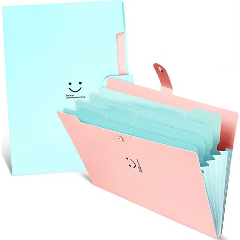 Carpeta para documentos con bolsillos, organizador de documentos tipo acordeón, adecuado para la escuela, el hogar y la oficina, diseño expandible, etiquetado para una fácil organización, color aleato