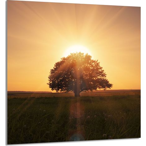 PANEL DE VIDRIO PARA COCINA 60x65 Árbol (1/5)