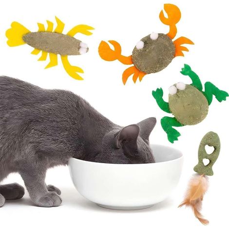 Jouet de nettoyage des dents pour chat, balle à l'herbe à chat pour chats d'intérieur, balle à friandises dentaires, jouets à l'herbe à chat pour le nettoyage des dents (1/4)
