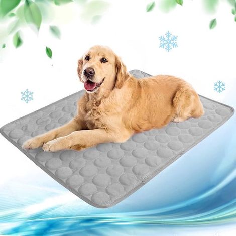 Tapis rafraîchissant pour chiens – Couverture d'été auto-rafraîchissante – Pour la maison, les voyages ou la voiture – Gris – 100 x 70 cm – 1 pièce (1/5)