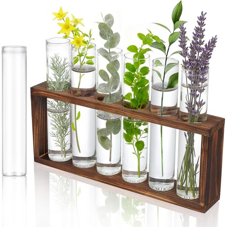 7 Pièces Vases en Tubes à Essai, Vase en Verre de Tube à Essai 30 X 150 Mm, Vases Vintage Décoratif, Vase en Verre avec Support en Bois pour Fleurs, Épices, Décoration de Cuisine, Liquides, Bricolage (1/5)