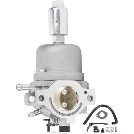 Kit de Réparation Carburateur pour Moteurs Briggs & Stratton (Séries 31C/D/E) (1/5)
