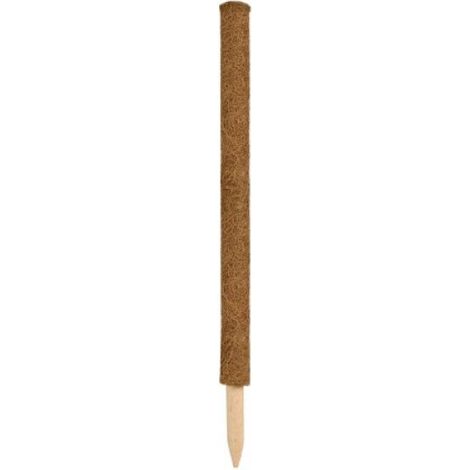 Tuteur en fibres de coco - H 60 cm x diam. 38 mm