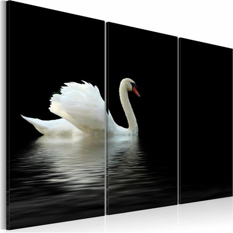 Tableau cygne seul - 90 x 60 cm