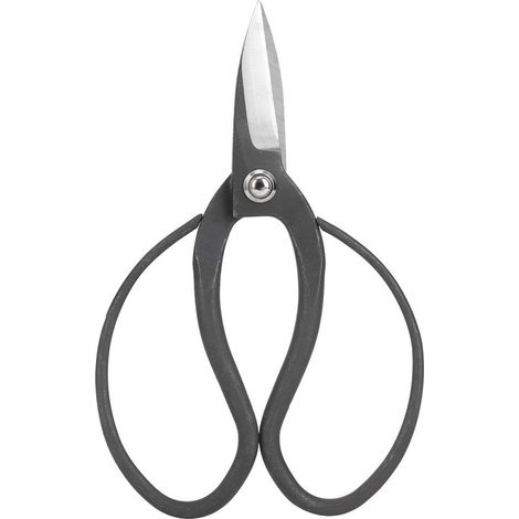 Ciseaux de taille de bonsaï de jardin en acier Composite, outils de jardinage pour débutants (1/5)