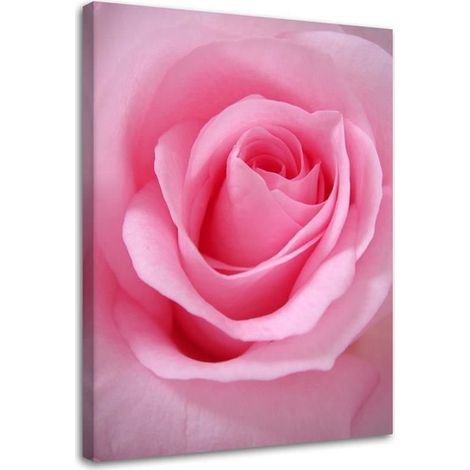 Stampa su tela, Petali di rosa - 60x90 (1/4)