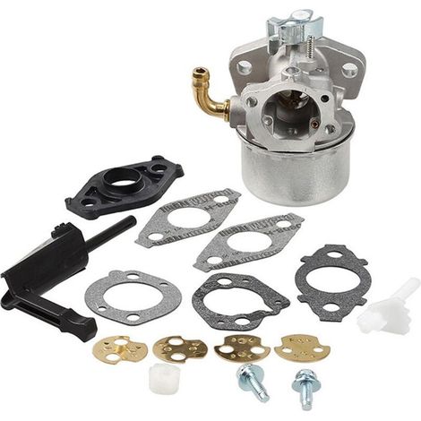 Carburateur compatible moteurs Briggs & Stratton 798654 792970 150000, pièce universelle de rechange (1/5)