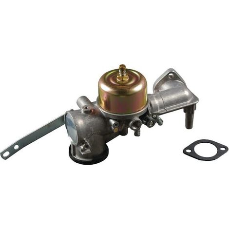 Vergaser BRIGGS ET STRATTON 491590