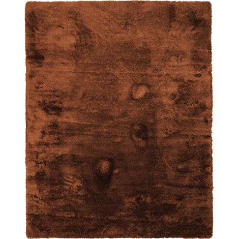 SAUVAGE - Tapis à poils longs extra-doux marron clair 120x160 (1/5)
