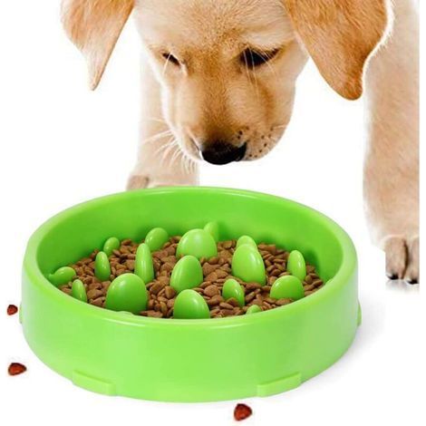 Slow Feeding Bowl for Dogs, Slow Feeding Anti-Slip Design Fun Interactive Feeding Cats and Dogs Bowl, Promotes Healthy Eating (Green) (1/5)