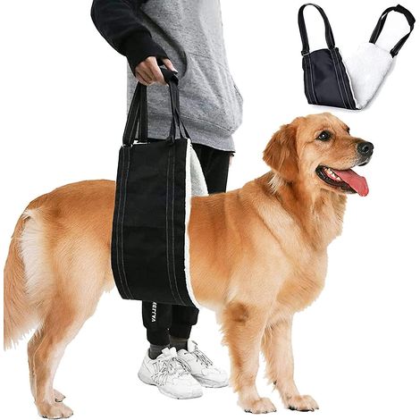 Harnais de levage réglable pour chiens âgés ou handicapés, destiné au soutien et à la rééducation. (1/5)