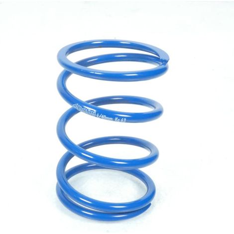 kupplungsfeder polini für roller yamaha 150 xenter nach 2011 (1/3)