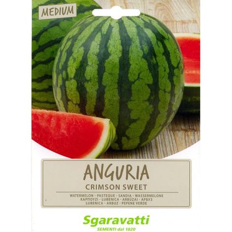 SEMI PER ORTAGGI E VEGETALI anguria crimson sweet