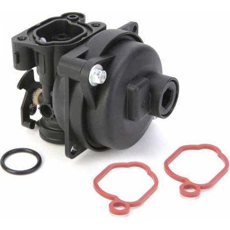 Carburateur pour moteur Briggs & Stratton 799583 (1/5)