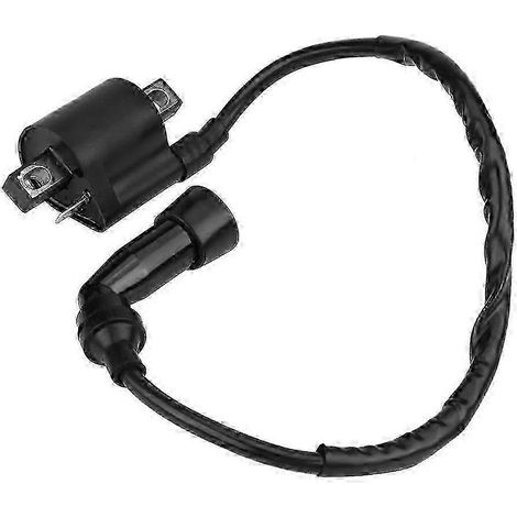 Bobine d'allumage pour moto compatible avec quad Yamaha Bear Tracker 250 (1999-2004), noire (1/5)