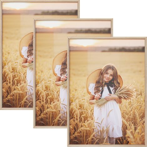 Lot de 3 Cadre Photo 50x70 cm WOLTU, Cadre en Bois Massif, Décoration Murale ou sur Table, avec Passe Partout, Doré