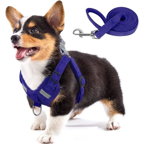 Harnais pour chien en tissu suédé doux au toucher, gilet pour animaux de compagnie avec entrejambe réglable et réfléchissant, harnais anti-traction pour chiots et chiens de petite et moyenne taille (1/4)