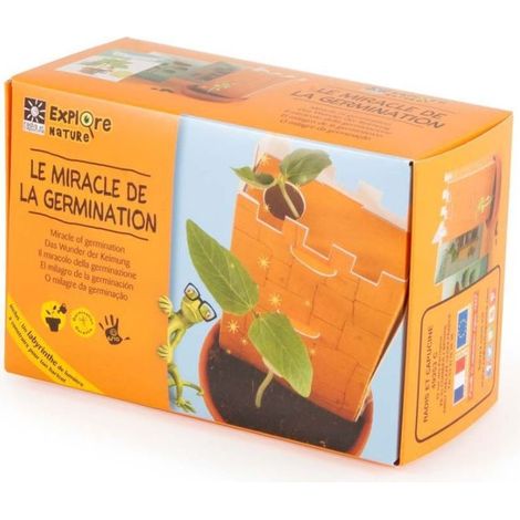 Kit de découverte - Miracle de la germination