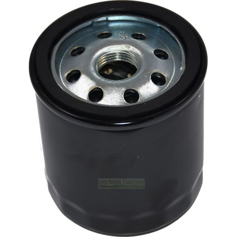 Filtre à huile long pour moteurs Briggs & Stratton 491056 807894 John Deere AM101207