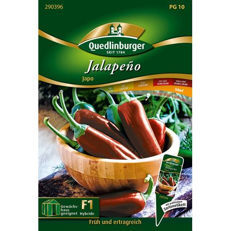 Quedlinburger Saatgut – Piment jalapeño Japo – Graines de légumes, variété précoce, hauteur 50-80 cm (1/2)