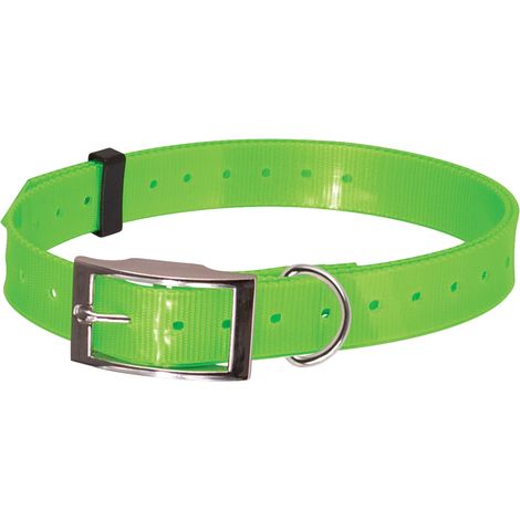 Collier fluo plein-air Couleur : Vert