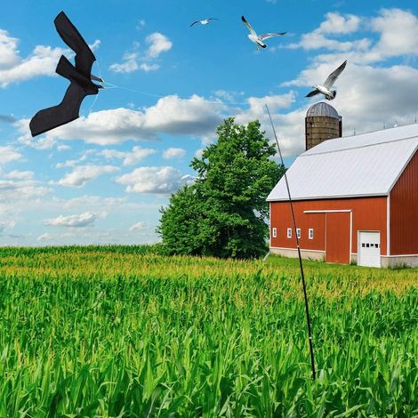 Cerf-Volant Anti-Oiseaux Épouvantail à Oiseaux Extensible avec Barre Télescopique de 5 m Repousseur d'oiseaux Protection de la Ferme (1/5)