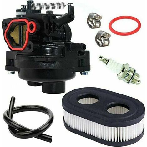 Carburateur pour Tondeuse Pièces 799584 Compatible Moteur Briggs & Stratton 550EX-725EX (1/5)