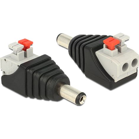 Delock Adattatore DC 2.1x5.5mm Maschio Terminal Block 2 pin con Pulsante