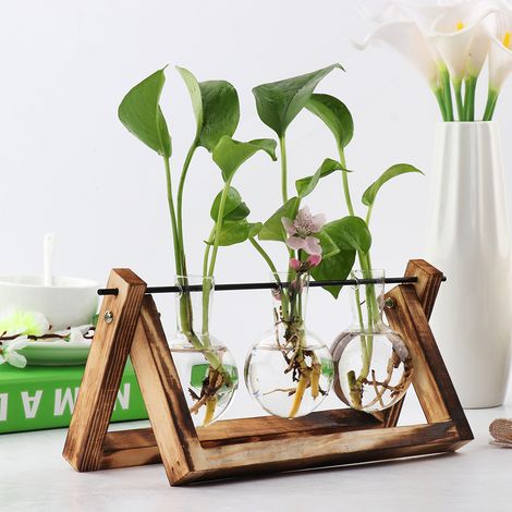 Terrarium sur Cadre Bois Vintage - Stand Bois + 3 Vases en Verre Borosilicaté (28cm) - Déco Bureau Éco-responsable (1/5)
