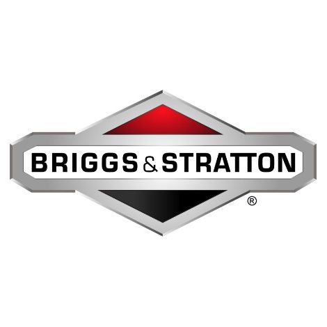 ORIGINAL BRIGGS & STRATTON Motormutter für Rasentraktor 002X94MA