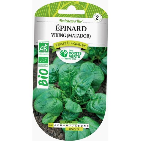 Graines épinard Viking  matador  BIO Les Doigts Verts